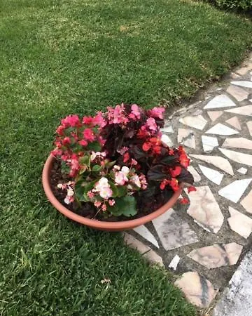 Mitras House Σπίτι διακοπών Martinganca